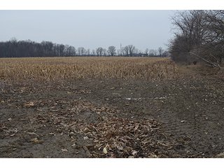 Property photo 28 - LAND AUCTION, 77 Acres offered in 3 Tracts